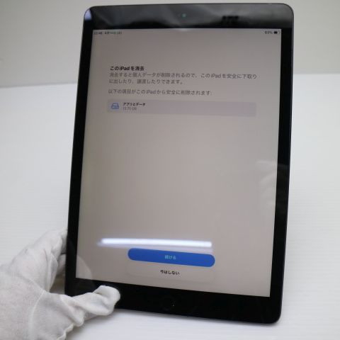 �¿��ݾ� Ķ���� iPad ��9���� Wi-Fi 256GB ���ڡ������쥤