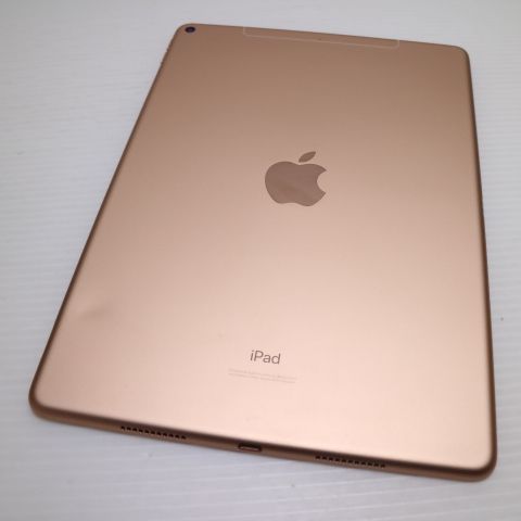 �¿��ݾ� Ķ���� SIM�ե꡼ iPad Air 3 ����顼 64GB  �������