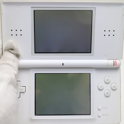 �¿��ݾ��� Ķ���� �˥�ƥ�ɡ�DS Lite �饤�� �ۥ磻��  �������