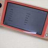 �¿��ݾ� ������� Nintendo Switch Lite �������