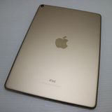 �¿��ݾ� Ķ���� iPad Pro 10.5����� Wi-Fi 256GB ������� ����