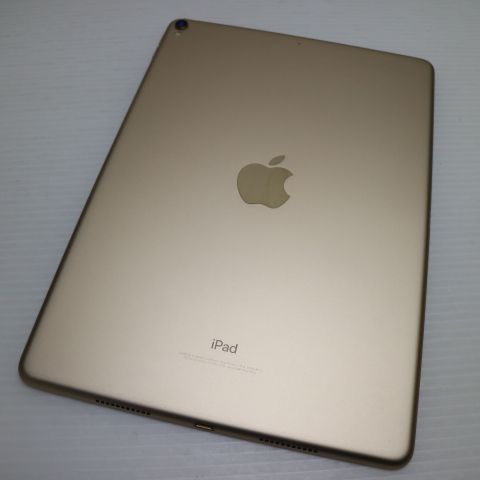 �¿��ݾ� Ķ���� iPad Pro 10.5����� Wi-Fi 256GB ������� ����
