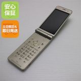 �¿��ݾ��� ���� P-01E �����ѥ󥴡���� ����� �������