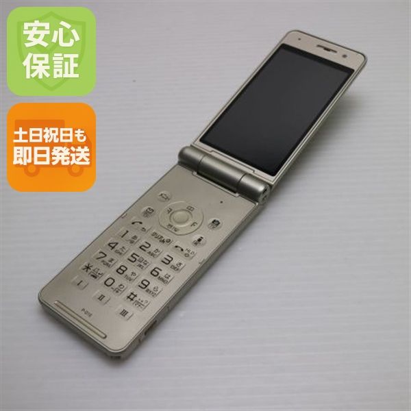 �¿��ݾ��� ���� P-01E �����ѥ󥴡���� ����� �������