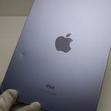 �¿��ݾ� ���� SIM�ե꡼ iPad mini ��6����  Cellular 256GB �ѡ��ץ�