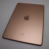 ¿ݾ Ķ iPad Air 3 wi-fiǥ 64GB  