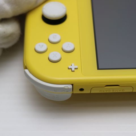 �¿��ݾ� ���� Nintendo Switch Lite ��������