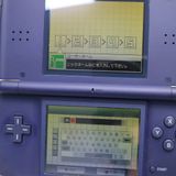��� �˥�ƥ�ɡ�DS Lite �饤�� �ͥ��ӡ�  �������
