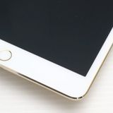 �¿��ݾ��� ����Ʊ�� iPad mini 4 Wi-Fi 16GB �������  �������