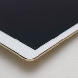 �¿��ݾ��� ���� iPad Pro 12.9����� Wi-Fi 32GB �������  �������