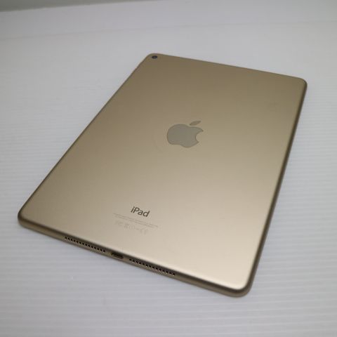 �¿��ݾ��� Ķ���� iPad Air 2 Wi-Fi 16GB �������  �������