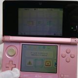 �¿��ݾ��� Ķ���� �˥�ƥ�ɡ�3DS �ߥ��ƥ��ԥ�  �������