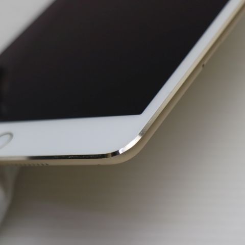 �¿��ݾ��� ����Ʊ�� SIM�ե꡼ iPad mini 4 Cellular 16GB �������