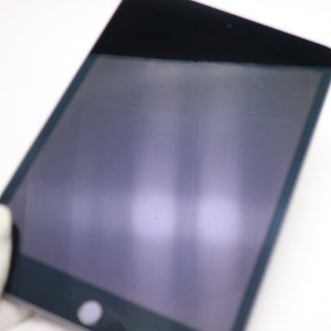 Ķ���� iPad mini 5 Wi-Fi 256GB ���ڡ������쥤