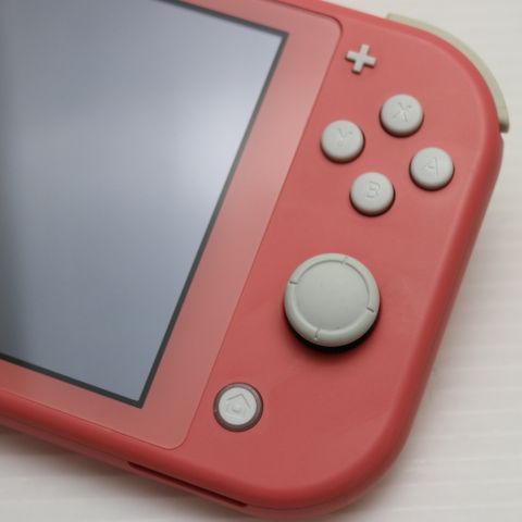 �¿��ݾ� ���� Nintendo Switch Lite �������