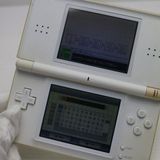 �¿��ݾ��� ������� �˥�ƥ�ɡ�DS Lite �饤�� �ۥ磻��  �������