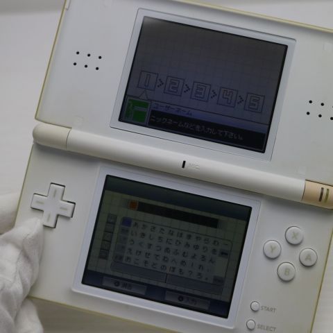 �¿��ݾ��� ������� �˥�ƥ�ɡ�DS Lite �饤�� �ۥ磻��  �������