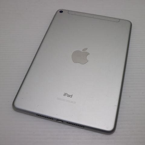  SIMե꡼ iPad mini 5 256GB С
