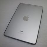 Ķ���� SIM�ե꡼ iPad mini 5 Wi-Fi+����顼  64GB ����С�