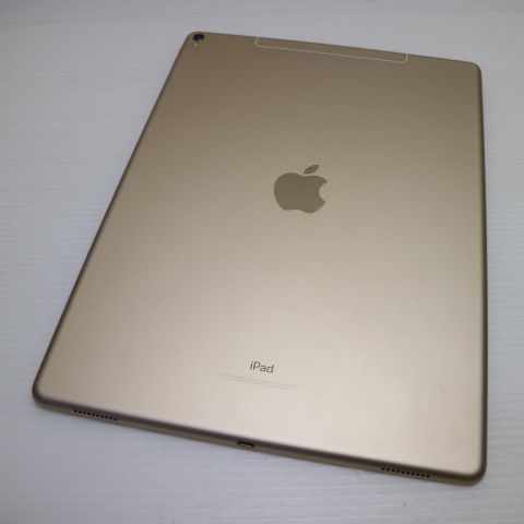 ���� SIM�ե꡼ iPad Pro��2���� 12.9����� Wi-Fi+����顼  64GB