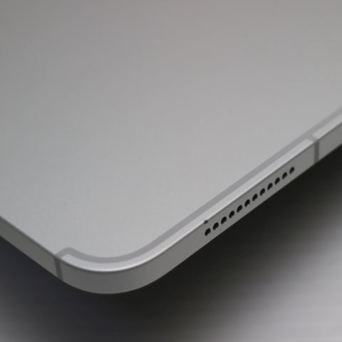 �¿��ݾ� Ķ���� SIM�ե꡼ iPad10 ��10���� Wi-Fi+����顼  64GB ����С�