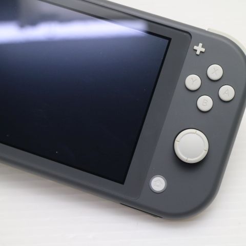 �¿��ݾ� ���� Nintendo Switch Lite ���졼