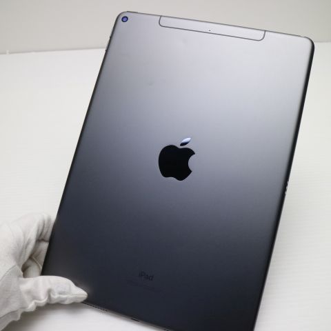  SIMե꡼ iPad Air 3 Cellular 256GB  ڡ쥤 