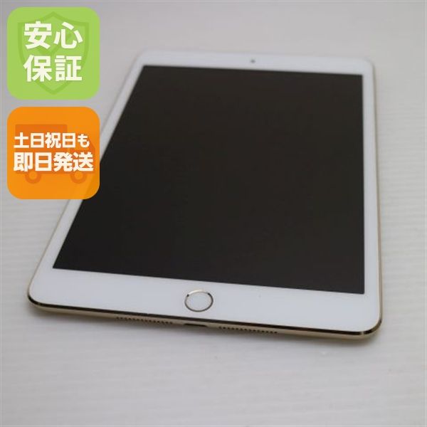 �¿��ݾ��� Ķ���� iPad mini 3 Wi-Fi 64GB �������  �������