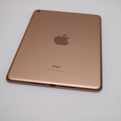 ����Ʊ�� iPad mini 5 Wi-Fi 64GB �������