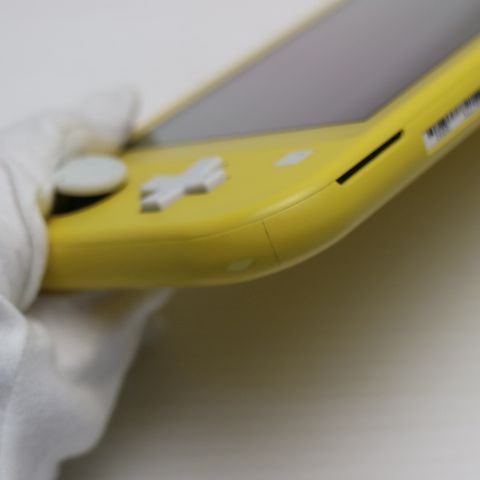 �¿��ݾ� Ķ���� Nintendo Switch Lite ��������