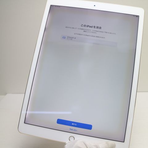 Ķ���� iPad Pro ��2���� 12.9����� Wi-Fi 256GB �������