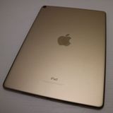 �¿��ݾ� ����Ʊ�� iPad Pro 10.5����� Wi-Fi 64GB ������� ����