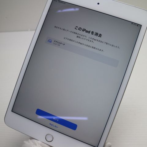 Ķ���� SIM�ե꡼ iPad mini 5 Wi-Fi+����顼  64GB ����С�