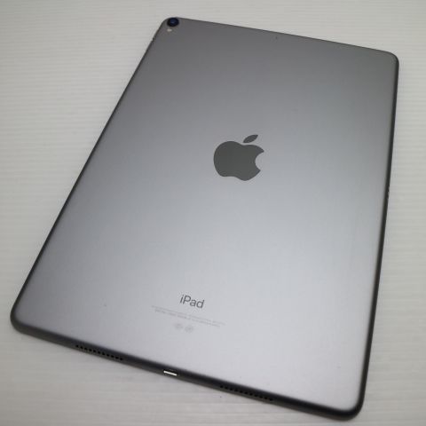 �¿��ݾ� Ķ���� iPad Pro 10.5����� Wi-Fi 256GB ���ڡ������쥤
