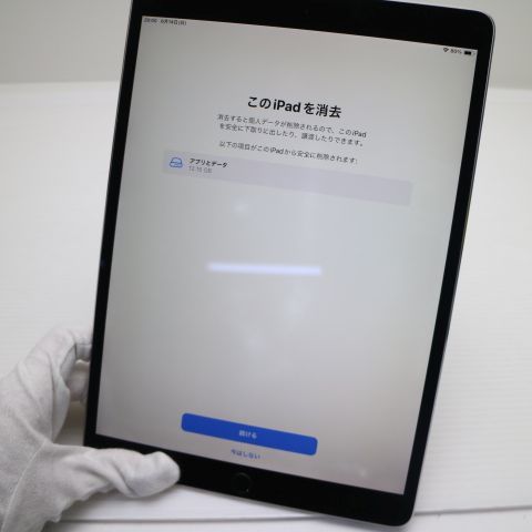 �¿��ݾ� Ķ���� iPad Pro 10.5����� Wi-Fi 256GB ���ڡ������쥤