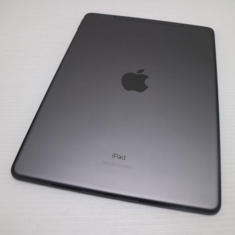 Ķ���� SIM�ե꡼ iPad Air 3 Cellular ����顼 64GB  ���ڡ������쥤