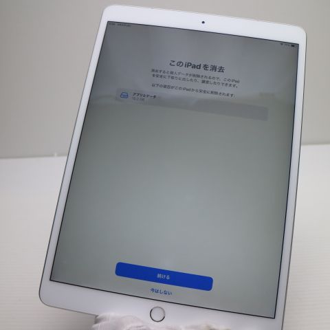 �¿��ݾ� ���� SIM�ե꡼ iPad Air 3 Cellular ����顼 64GB  ����С�