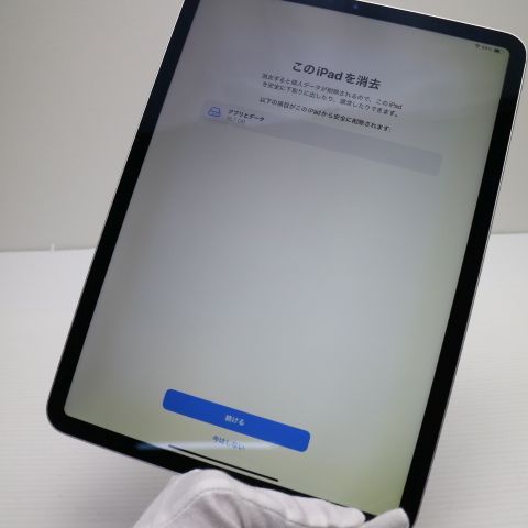 Ķ���� SIM�ե꡼ iPad Pro 11����� Wi-Fi+����顼  256GB ����С�