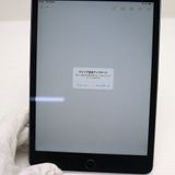 Ķ���� SIM�ե꡼ iPad mini 4 Cellular ����顼 128GB ���ڡ������쥤