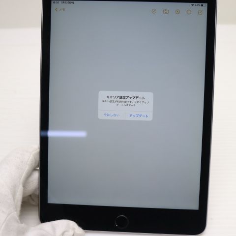 Ķ���� SIM�ե꡼ iPad mini 4 Cellular ����顼 128GB ���ڡ������쥤