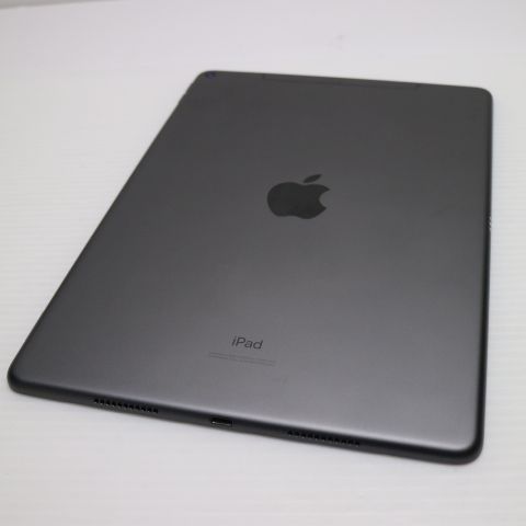 ���� SIM�ե꡼ iPad Air 3 Cellular ����顼 64GB  ���ڡ������쥤