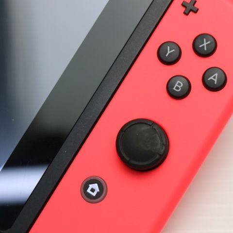 �¿��ݾ� ���� Nintendo Switch �ͥ���֥롼�ͥ����å�