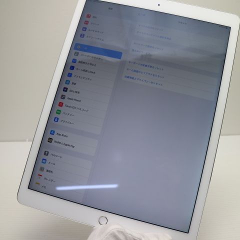 �¿��ݾ��� ���� iPad Pro 12.9����� Wi-Fi 128GB ����С�  �������