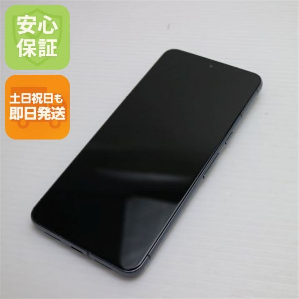 �¿��ݾ� ���� SIM�ե꡼ Google Pixel 8 Pro 128GB ���֥��ǥ�����