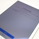 �¿��ݾ��� ���� iPad Air 2 Wi-Fi 64GB �������  �������