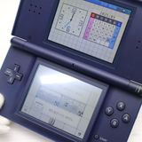 ¿ݾ  ˥ƥɡDS Lite 饤 ͥӡ  