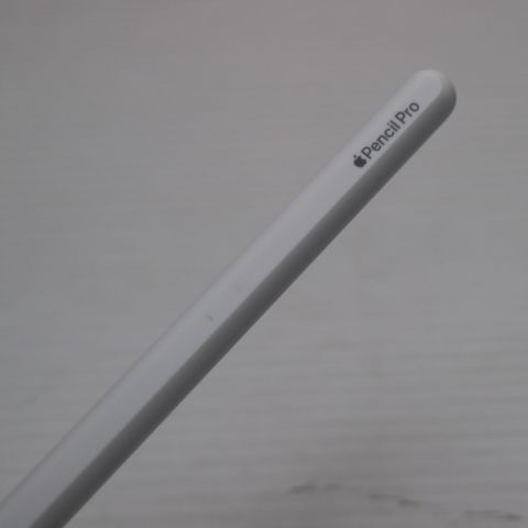 �¿��ݾ� Ķ���� Apple Pencil Pro �ۥ磻��