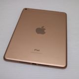 ���� SIM�ե꡼ iPad mini 5 Wi-Fi+����顼  256GB �������