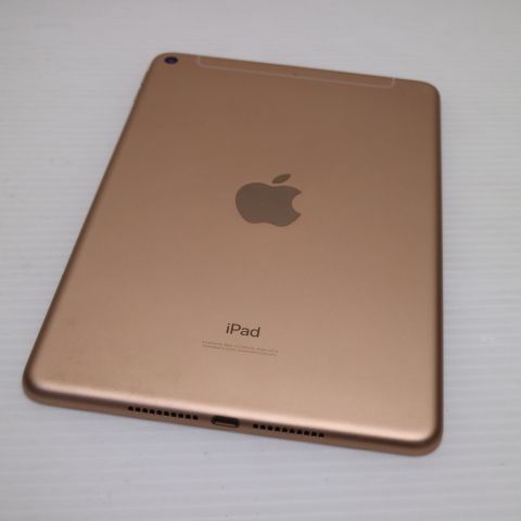 ���� SIM�ե꡼ iPad mini 5 Wi-Fi+����顼  256GB �������