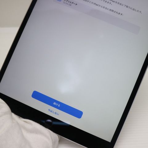 �¿��ݾ� Ķ���� iPad Pro 10.5����� Wi-Fi 256GB ���ڡ������쥤